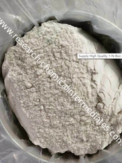 中国 良質1-N-Boc-4- （Phenylamino）ピペリジンCAS125541-22-2 /1451-82-7 /40064-34-4 サプライヤー